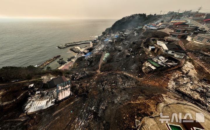 Korean news article image