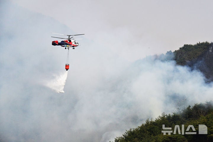 Korean news article image