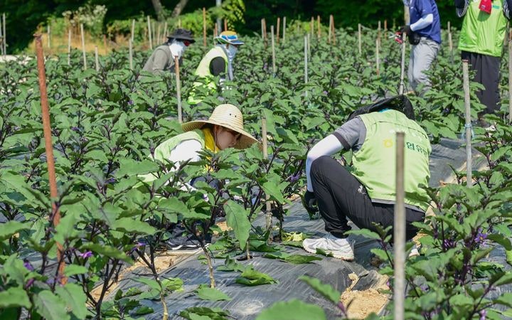Korean news article image