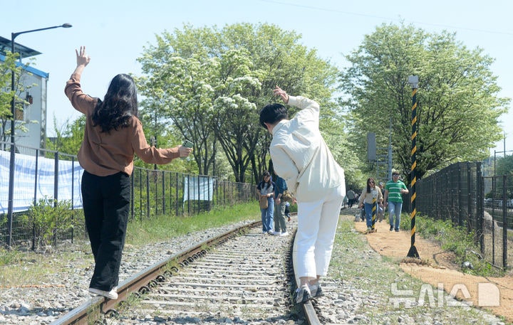 아슬아슬 <b>이팝나무 철길</b> 걷는 시민들
