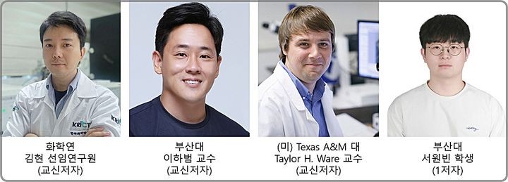 [대전=뉴시스] 물속에서 빛으로 움직이는 소프트 로봇용 인공근육을 개발해 국제학술지에 발표한 연구진.왼쪽부터 화학연 김현 선임연구원(교신저자),부산대 이하범 교수(교신저자),미국 Texas A