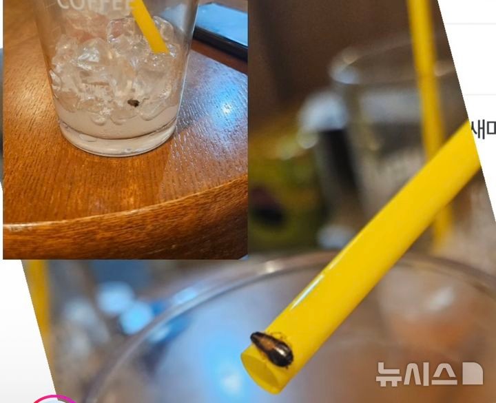[서울=뉴시스] 다 마신 음료 컵 안에서 바퀴벌레로 추정되는 벌레를 발견한 고객이 본사의 미흡한 대응에 분노했다.(사진=인스타그램)