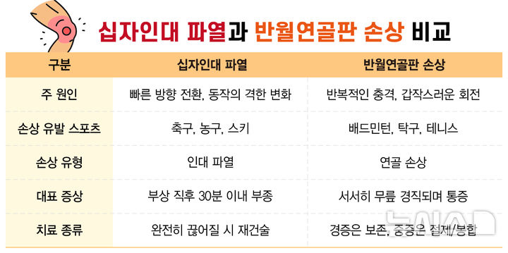 [서울=뉴시스]십자인대파열과 반월연골판 손상을 비교한 표.(자료= 강동경희대병원 제공) 2025.05.11.