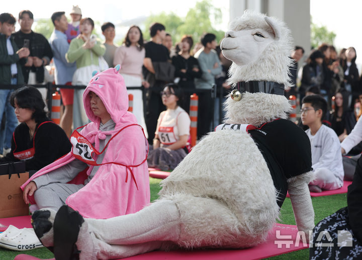[서울=뉴시스] 김진아 기자 = 11일 서울 반포한강공원 잠수교에서 열린 '2025 한강 멍 때리기 대회'에서 참가자들이 경연을 하고 있다.2025.05.11.