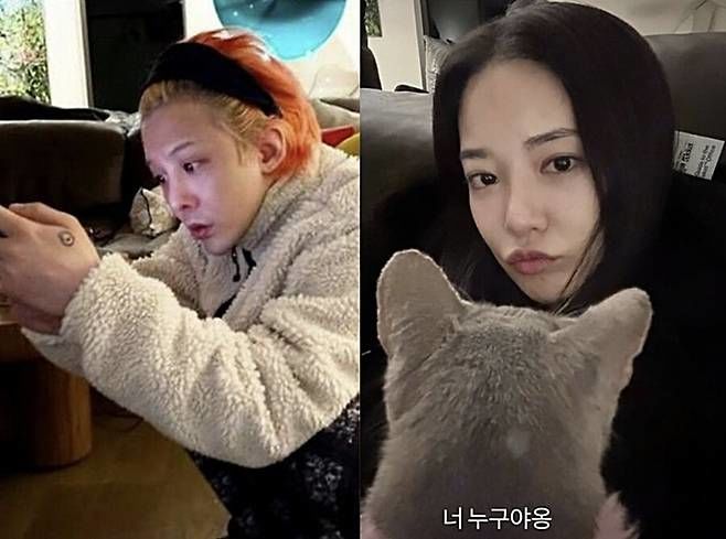 GD, <b>이주연</b>과 다섯번째 <b>열애</b>설 "사실 아냐"