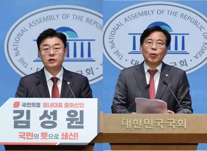 국민의힘, 대선 패배 이후 계파 분화…"친윤계 실체는 이제 없다"