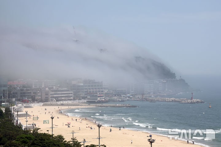 <b>해무</b> 덮친 <b>부산</b> 해운대 달맞이고개
