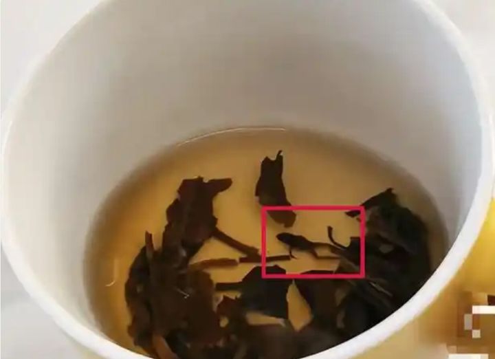 [서울=뉴시스]중국의 프리미엄 차 브랜드 나쉐샤오허차(奈雪小盒茶) 제품에서 말라붙은 개구리 사체가 통째로 발견돼 충격을 주고 있다.(사진=선전신문망)  *재판매 및 DB 금지
