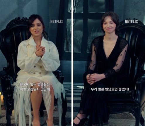 팀 제나 오르테가, 넷플릭스 '웬즈데이' 시즌2 팬 이벤트 개최