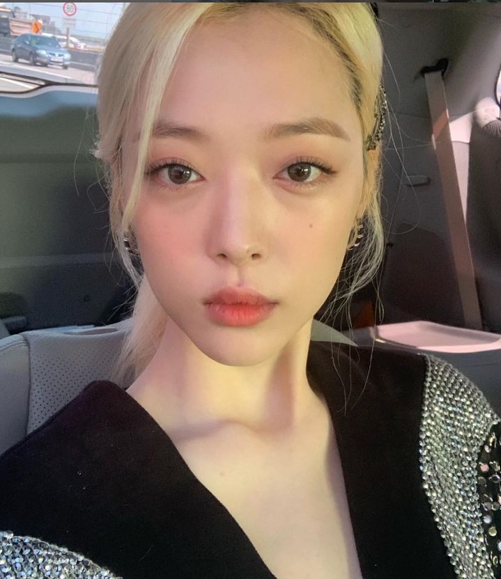 <b>설리 6주기</b>, 친오빠 <b>추모</b>글…"나를 자극하지 마"