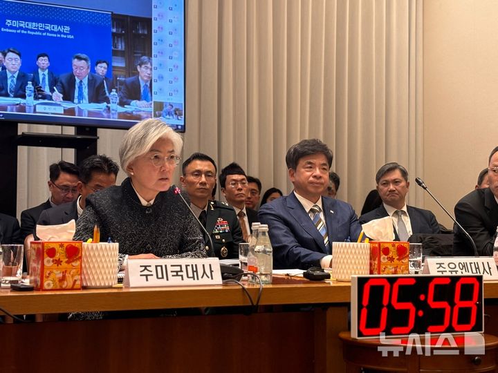 강경화 대사, 아직 트럼프 못 만나서 완전한 대사 아니래?