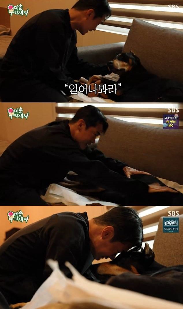 "아빠가 미안"…<b>배정남</b>, <b>반려견</b> <b>사망</b> 오열