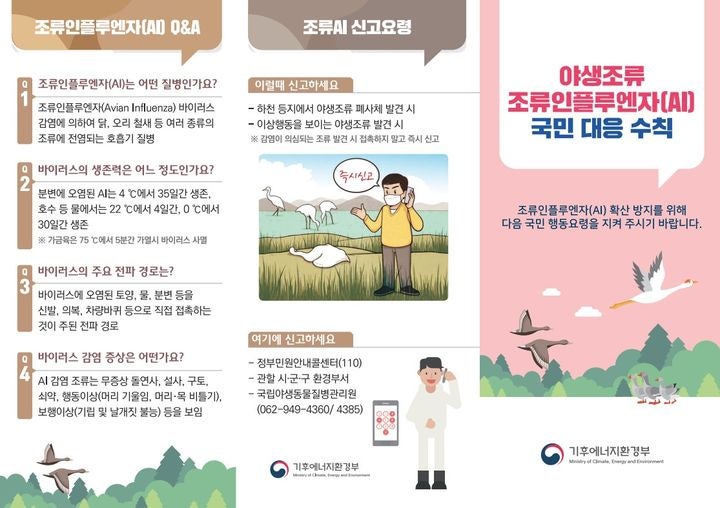 서대문구 큰기러기 폐사체서 고병원성 <b>AI 확진</b>…<b>서울</b>시, 방역 강화
