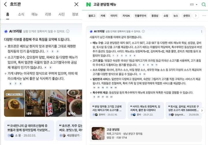 [서울=뉴시스] 네이버 AI 브리핑 검색 화면. (사진=네이버 제공) 2025.12.15. photo@newsis.com *재판매 및 DB 금지