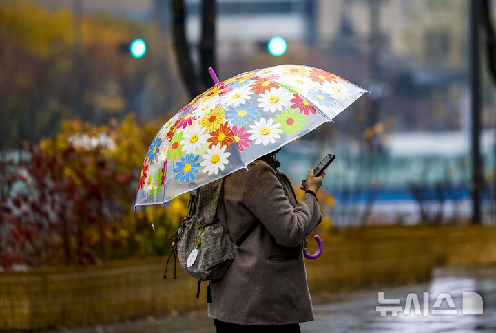 [서울=뉴시스] 정병혁 기자 = 비가 내린 25일 서울 종로구 광화문광장에서 우산을 쓴 시민이 낙엽을 밟으며 이동하고 있다.2025.11.25.