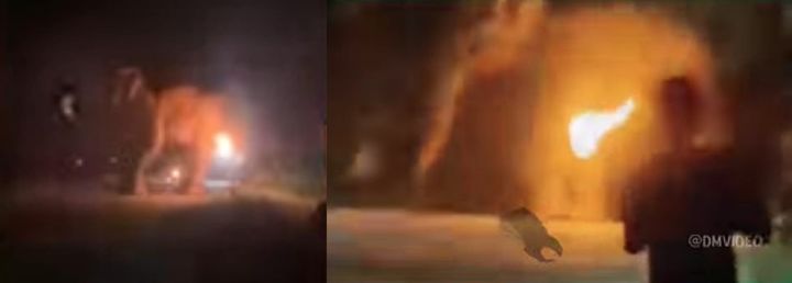 [서울=뉴시스] 스리랑카 남성 세 명이 야생 코끼리를 산 채로 불태우고 이 모습을 담은 영상을 SNS에 유포한 혐의로 경찰에 체포됐다.(사진출처: 데일리메일 캡처)2025.12.1
