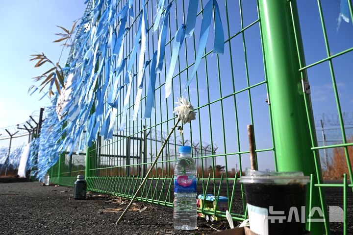 [무안=뉴시스] 이현행 기자 = 제주항공 무안공항 참사 1주기를 앞둔 지난 15일 오전 전남 무안군 무안국제공항 활주로 인근에 희생자를 추모하는 하늘색 리본과 국화,물,<a href=