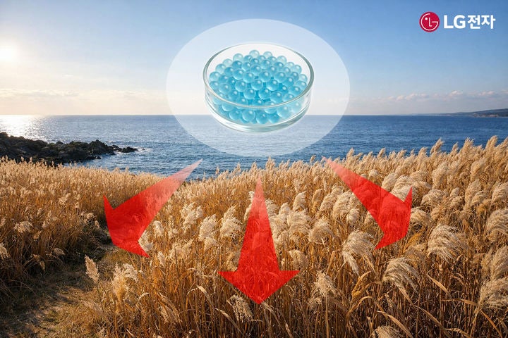 [서울=뉴시스]부산시 갈대밭에 마린 글라스를 적용하는 모습을 AI로 제작한 이미지.(사진 = LG전자) 2025.12.24.*재판매 및 DB 금지