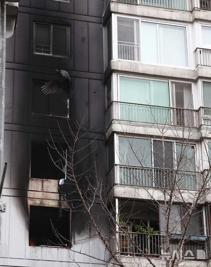 [서울=뉴시스] 김근수 기자 = 24일 서울 송파구 올림픽선수기자촌 아파트에서 화재가 발생해 아파트 건물 외벽이 검게 그을려 있다.2025.12.24.