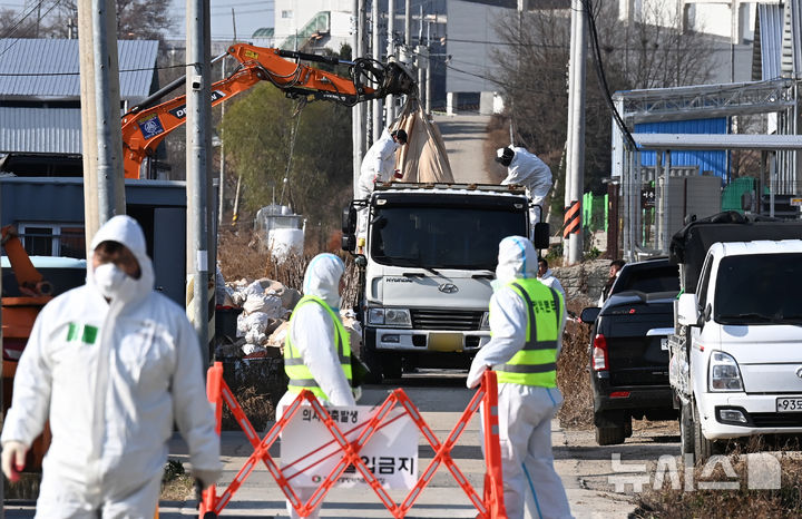 [평택=뉴시스] 김종택기자 = H5형 조류인플루엔자 항원이 검출된 경기 평택시 한 산란계 농장에서 2일 관계자들이 살처분 작업을 하고 있다.2025.12.02.