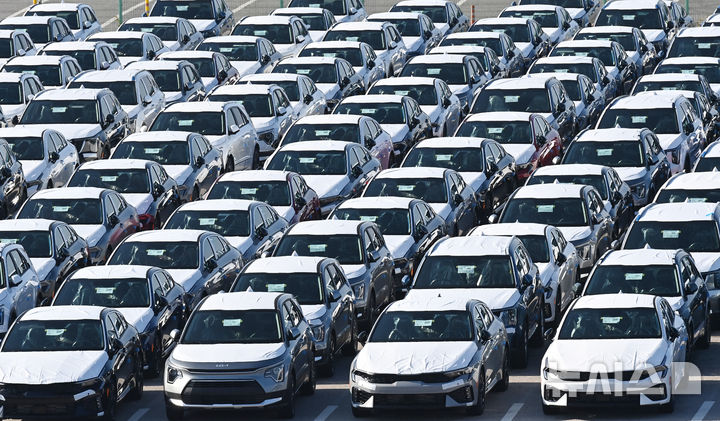 [평택=뉴시스] 김종택기자 = 경기 평택항 자동차전용부두에 수출용 차량이 세워져 있는 모습.2025.12.01.