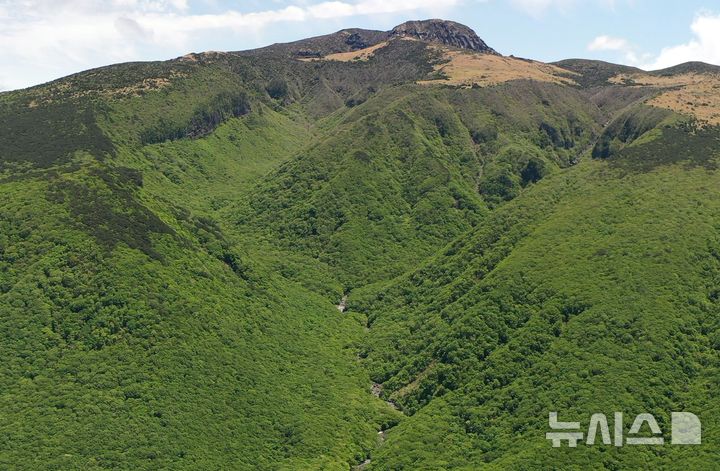 [제주=뉴시스] Y계곡으로 불리는 한라산 어리목계곡.(사진=뉴시스 DB).