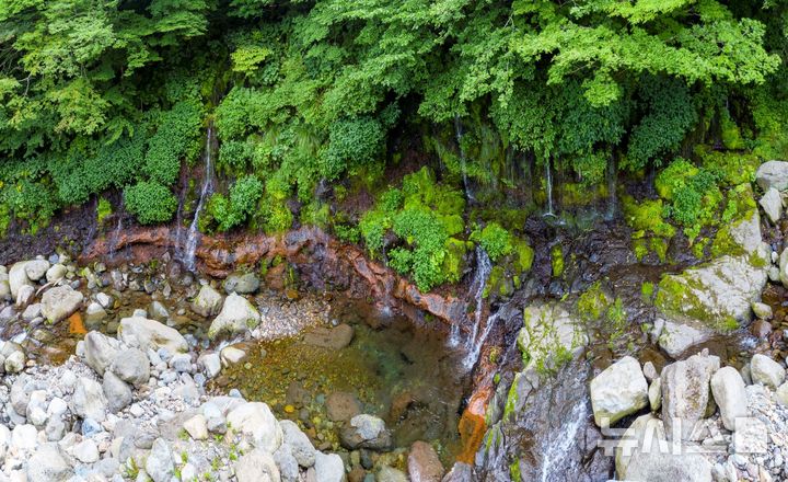 [제주=뉴시스] 한라산 어리목계곡 용천수가 흘러나오는 이끼폭포.(사진=뉴시스 DB).