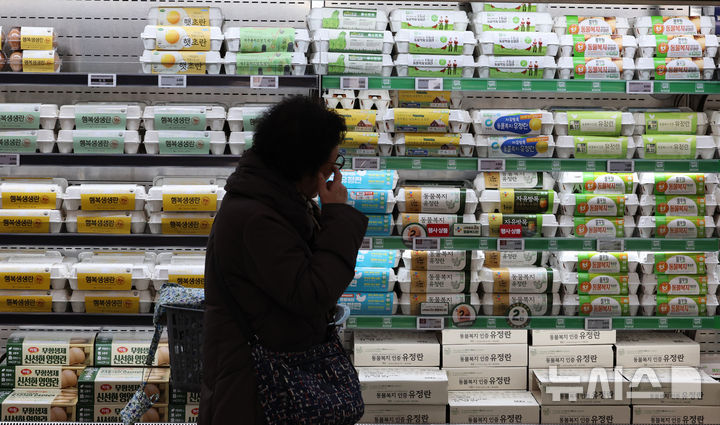 [서울=뉴시스] 이영환 기자 = 조류인플루엔자(AI) 확산 여파로 계란 한판 기준 소매가가 7천원을 넘어선 7일 오후 서울 시내의 한 대형마트에서 고객이 계란을 살펴보고 있다.구윤철 부총리 겸 재정경제부 장관은 이날