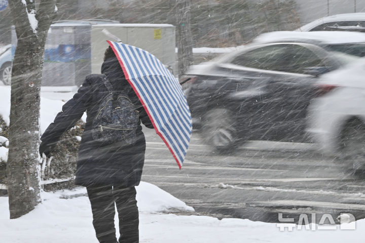 [광주=뉴시스] 이영주 기자 = 광주지역에 발효된 대설주의보로 폭설이 내리는 7일 오후 광주 북구 중흥동 한 횡단보도에서 시민이 우산을 쓴 채 눈보라를 헤치고 있다. 2025.02