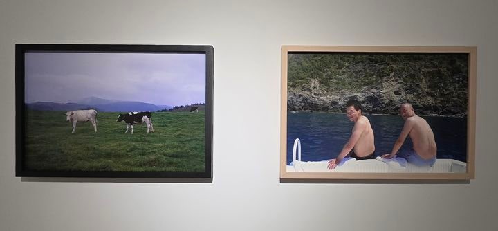 [사진=박현주 미술전문기자] 박용만 사진전.두 아들의 뒷모습과 초록 평원 위의 소 두 마리.인간과 자연,서로 다른 장면이지만 사진은 같은 온도로 말을 건다.*재판매 및 DB 금지