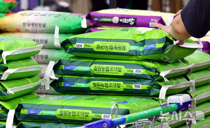 [서울=뉴시스] 박주성 기자 = 사진은 지난해 9월14일 오전 서울 하나로마트 양재점에서 시민들이 쌀을 고르는 모습.2025.09.14.