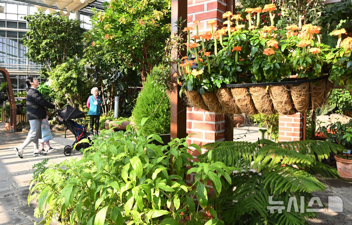 [수원=뉴시스] 김종택 기자 = 강추위가 이어지고 있는 23일 경기 수원시 국립농업박물관을 찾은 시민들이 가벼운 옷차림으로 식물원 내 온실을 둘러보고 있다.기상청은 이날 충청과 남부지방에 내려진 한파특보가 일부 해제