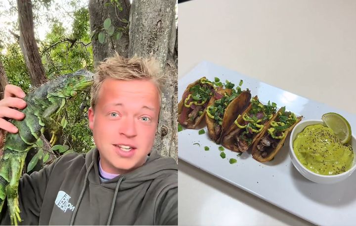 [뉴시스] 플로리다에서 한파로 얼어붙은 이구아나를 잡아 타코로 만들어 먹는 영상이 공개됐다. (사진=틱톡 갈무리) *재판매 및 DB 금지