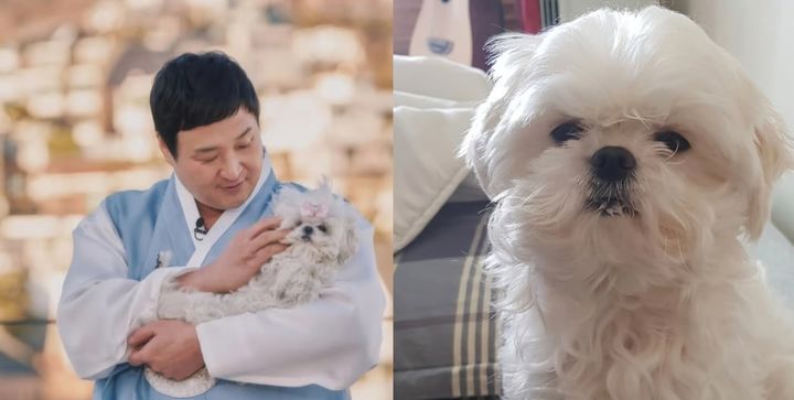 꽃분이 인기 비결은?