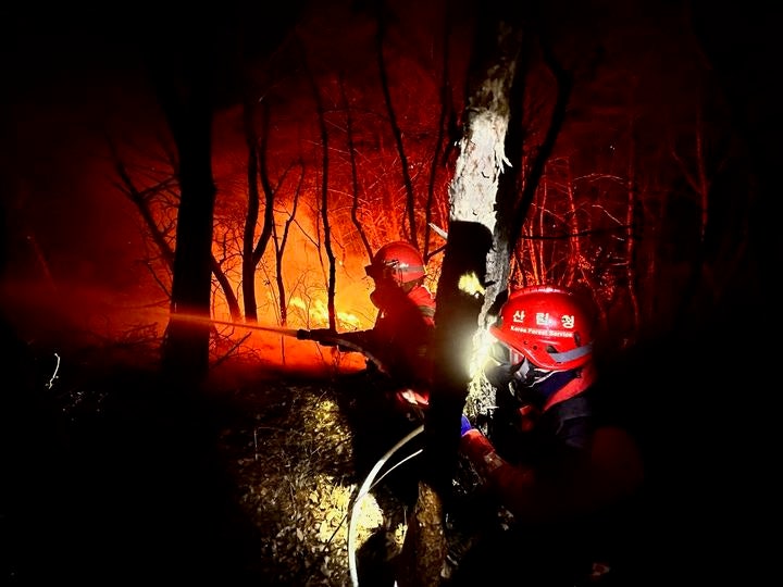 밀양 산불 주불 진화 20시간 만에 완료