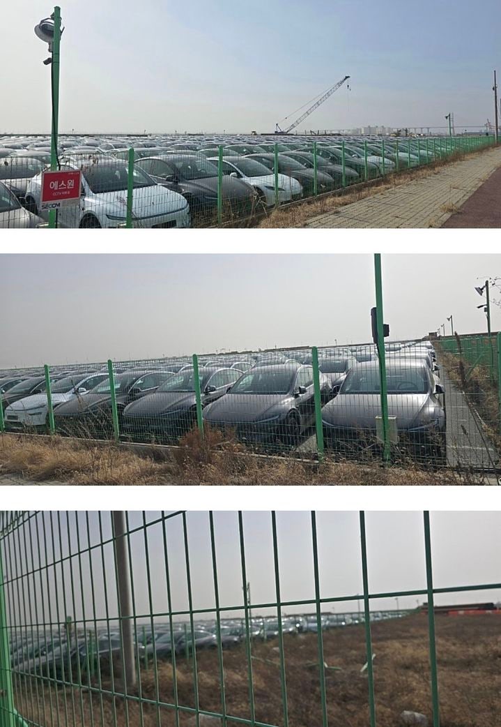 평택항 출고장으로 추정되는 부지에 수천 대의 테슬라 차량이 방치되고 있다.(사진=인터넷 커뮤니티) *재판매 및 DB 금지