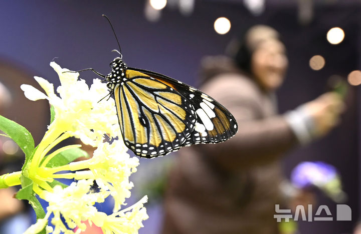 [����=���ý�] ������ ���� =���� 1�� 5�� ��� ���ν� �������� ������ �޲ٴ� ������ ã�� �������� ���� ���� ���� ���캸�� ���. 2026.01.05. jtk@newsis.com