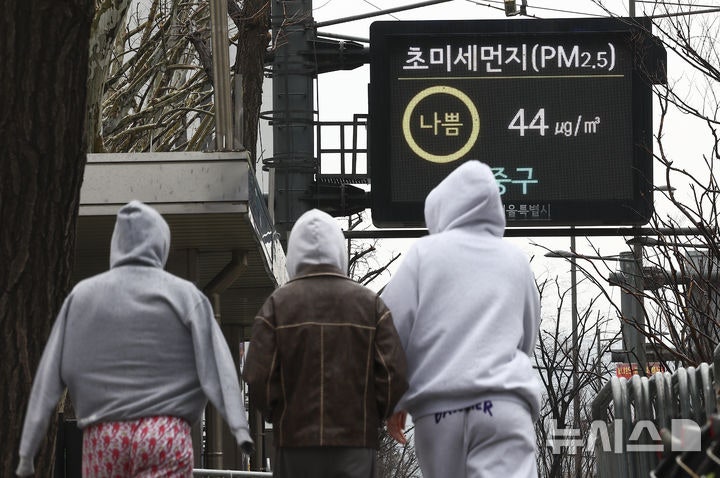 미세먼지, 뇌까지 침투 위험