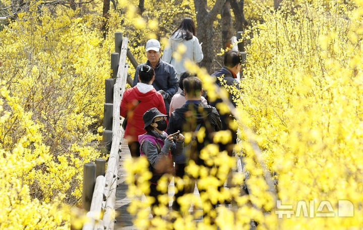 미세먼지 높아 경보 발령