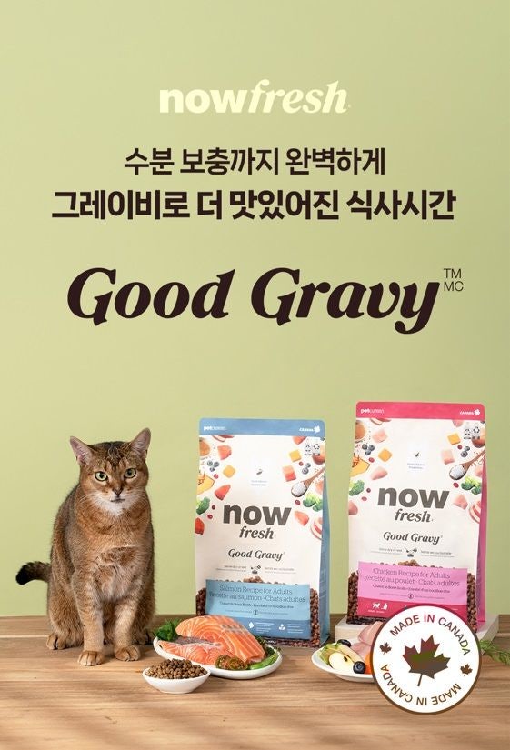 이글벳 반려동물 사업부 하루웰, '나우프레쉬 굿그레이비 캣' 출시
