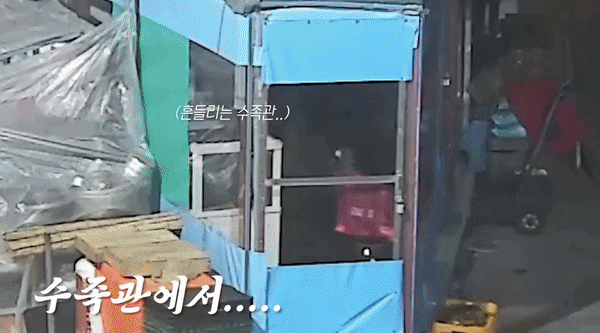 [서울=뉴시스] 지난달 16일 울산 중구의 한 전통시장에서 50대 남성 A씨가 문어를 비롯한 해산물을 훔쳤다. 이 남성은 상습 절도 혐의로 체포되어 재판에 넘겨졌다. (영상=경찰청 공식 유튜브 채널 캡처) *재판매 