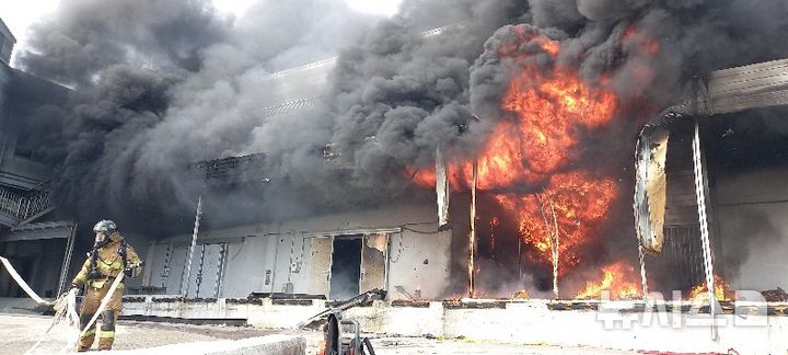 [완도=뉴시스] 12일 오전 8시25분께 전남 완도군 군외면 한 수산물 냉동창고(3693㎡)에서 불이 나 소방당국이 진화작업을 벌이고 있다. (사진 = 독자 제공) 2026.04.