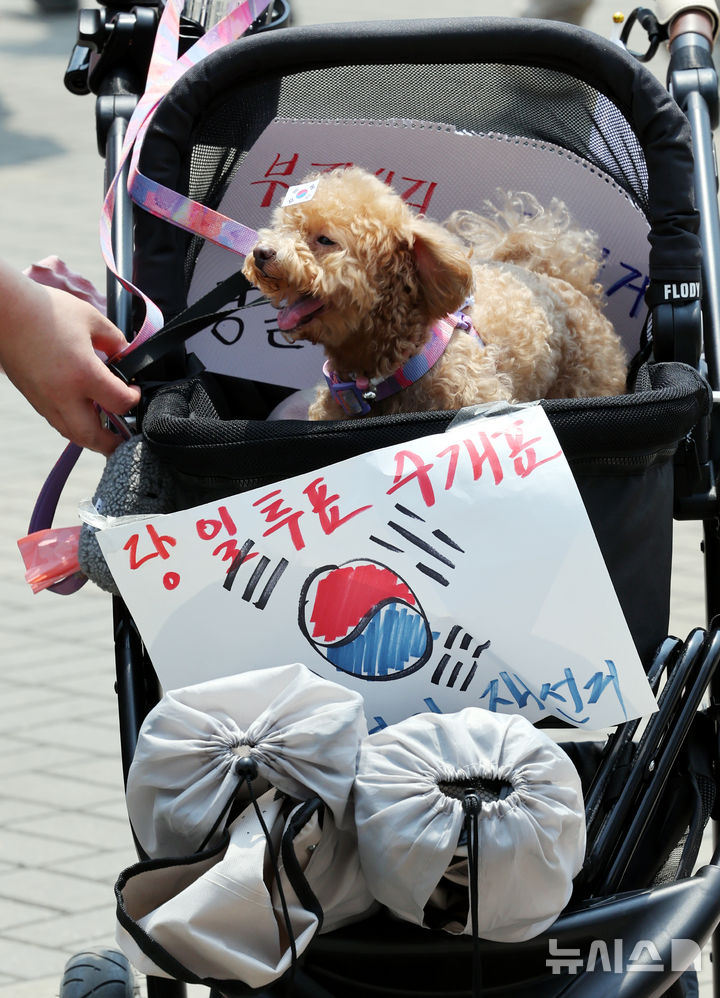 [서울=뉴시스] 박주성 기자 = 제9회 전국동시지방선거 투표용지 부족 사태에 항의하며 개표소 봉쇄 시위를 이어가고 있는 14일 서울 송파구 올림픽공원 핸드볼경기장에 설치된 개표소 앞에 한 시민이 강아지를 태운 유모차