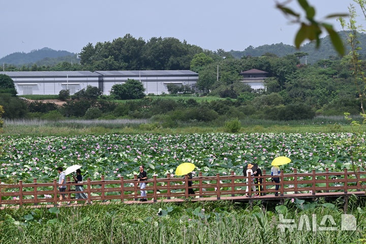 전남광주 첫 '<b>폭염중대경보</b>' 발효…<b>광양</b> 체감온도 38도 예상