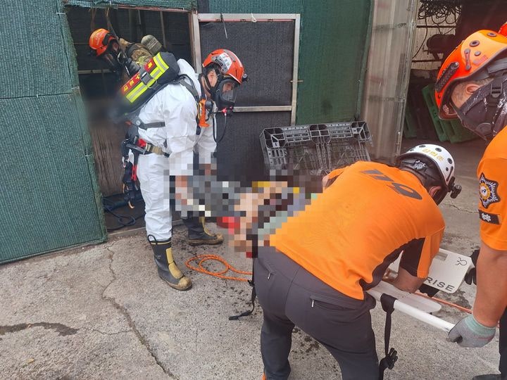 제주 양돈장 정화조서 외국인 근로자 2명 숨져... 안타까운 작업 중 추락 사고