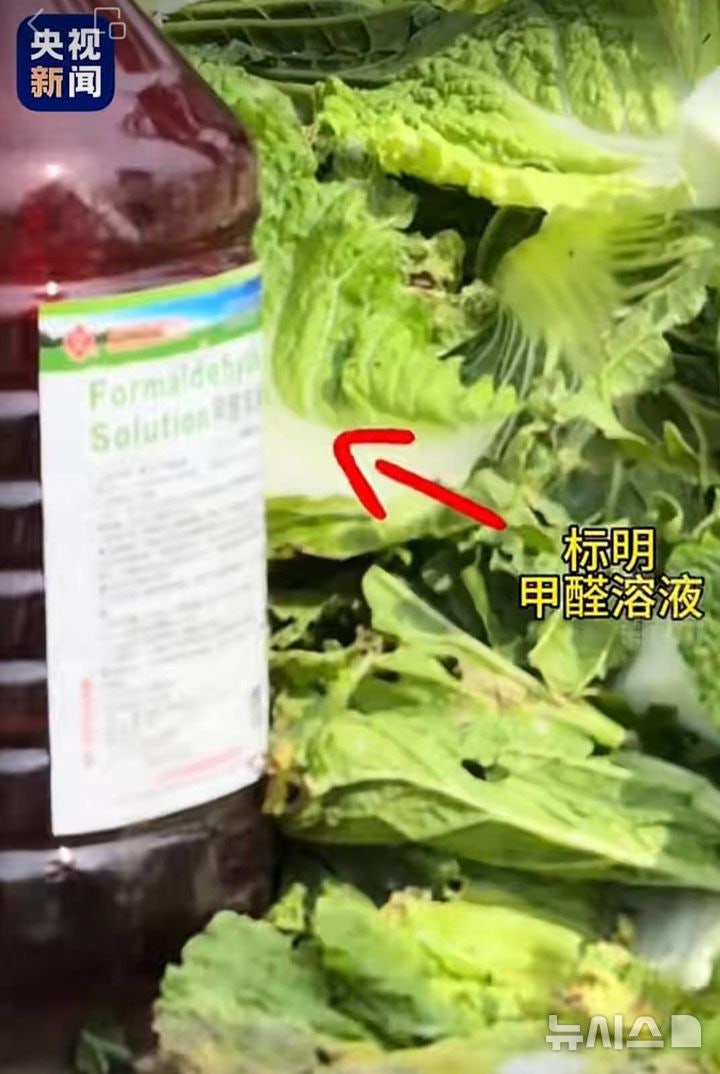 中정부, <b>발암물질</b> <b>배추</b> 논란에 "엄중 단속" 지시