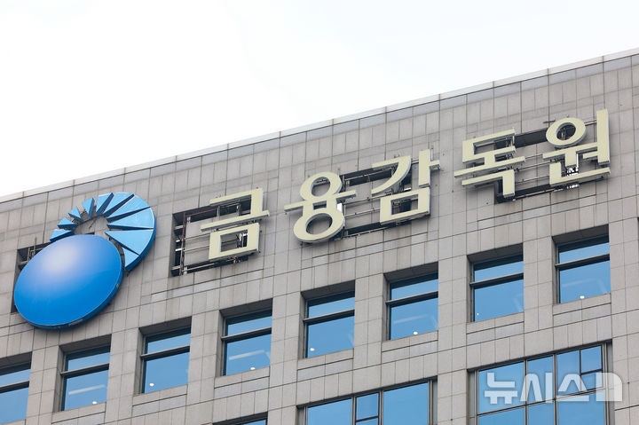 "감사인 지정 자료, 내달 15일까지 제출"…<b>금감원</b>, <b>온라인 설명회</b>