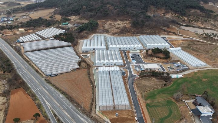 [고창=뉴시스] 고창군 청년농업인 스마트팜단지 전경. *재판매 및 DB 금지