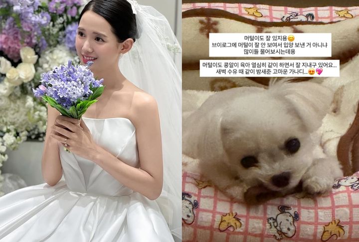배우 남보라 반려견 파양 루머에 "우리 콩알이랑 잘 있어요"