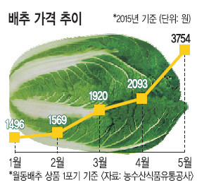 농부심 이미지